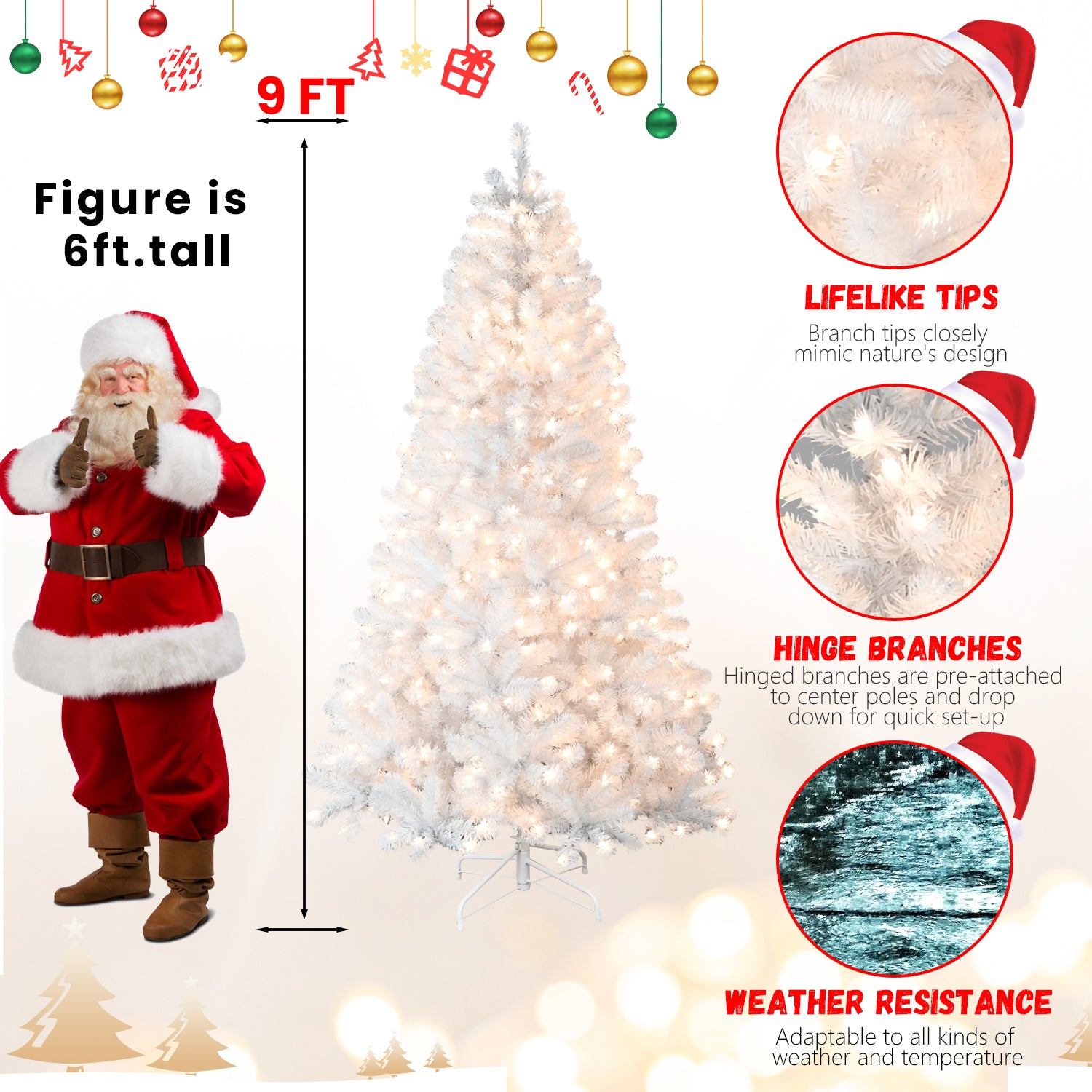 d1ef82ddfc21b1dd0f8bf1358073c4e1