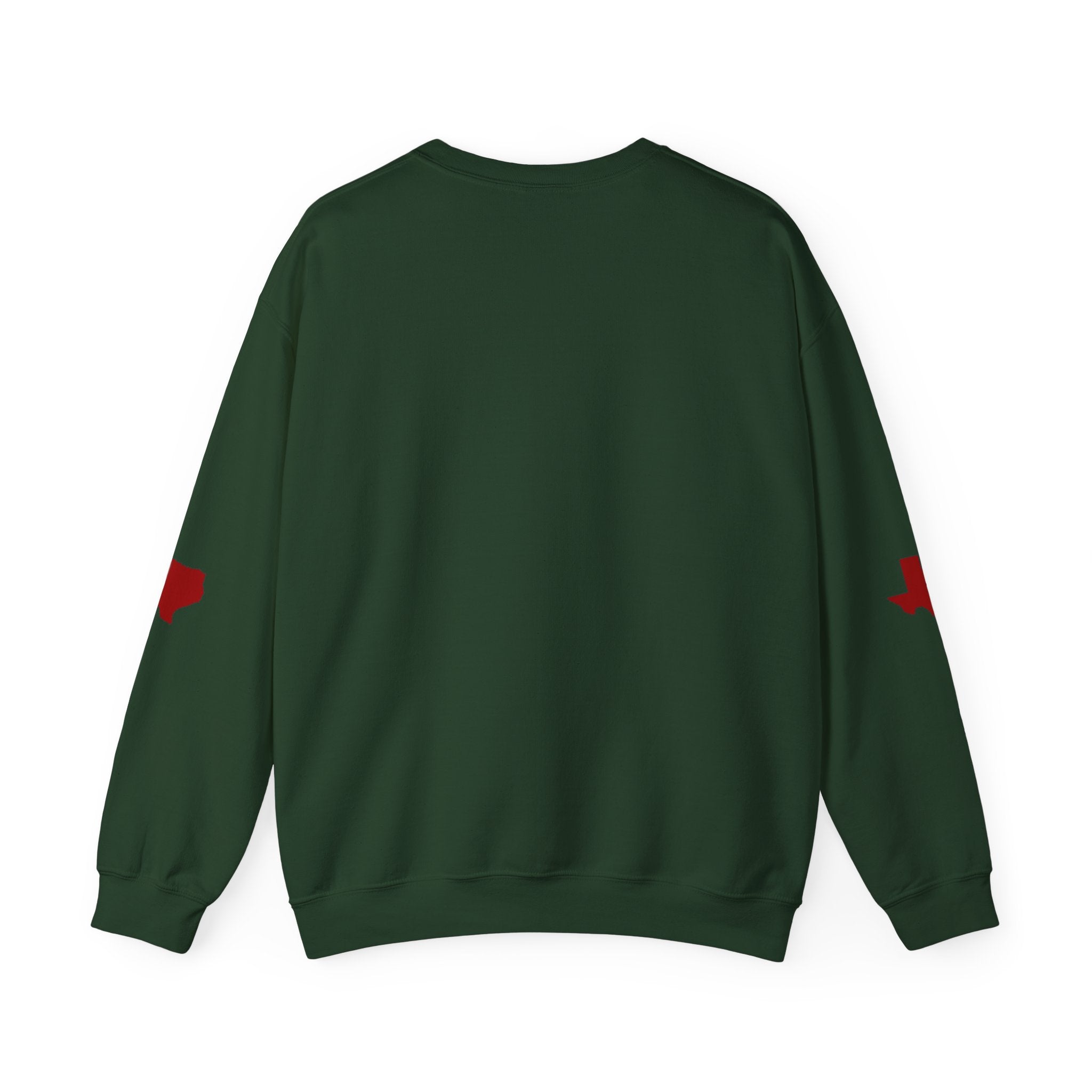 Texas Bluebonnet Christmas Sweater | Classic Christmas Texas BlueBonnet & Santa Clause Pattern Sweatshirt